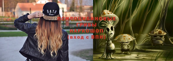 трава Новозыбков
