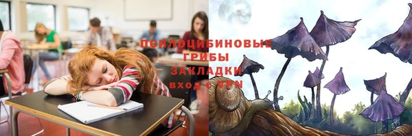 трава Новозыбков