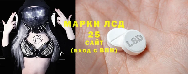 трава Новозыбков