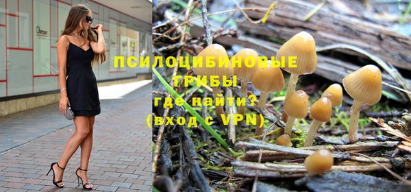 трава Новозыбков