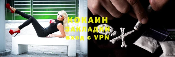 трава Новозыбков