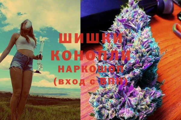 трава Новозыбков