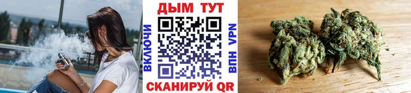 Шишки марихуана марихуана  где можно купить   Шелехов 